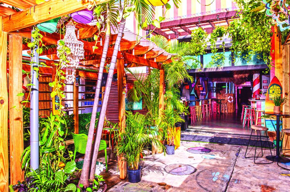 Miami Mojito Company